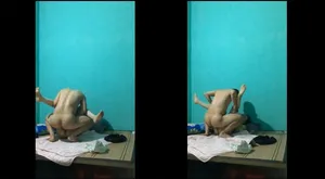 Dập nát bướm cô bạn gái cũ